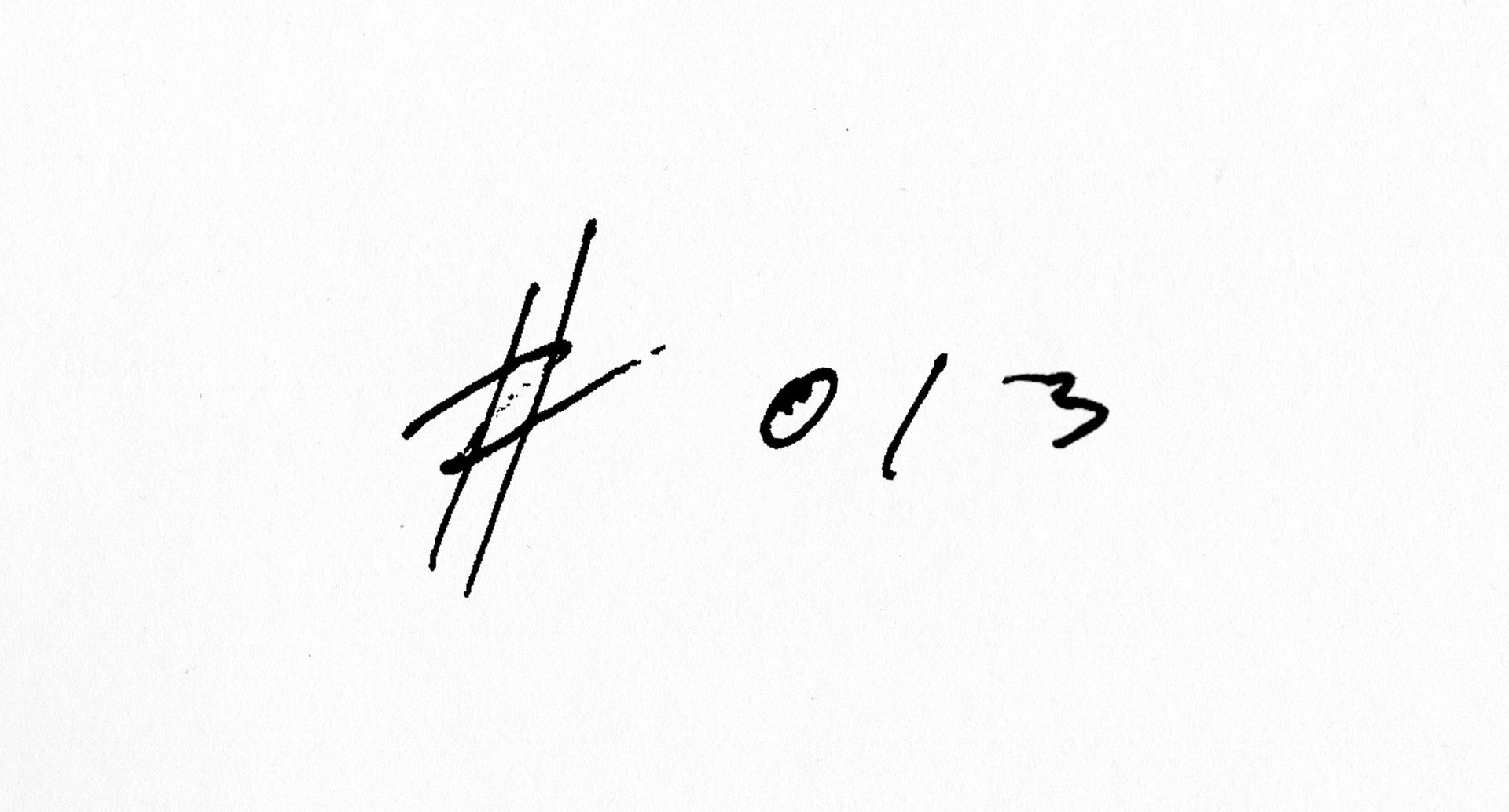 #013 - [ FINDING THE WHY ]