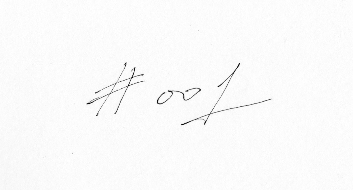 #001 - [ LUNAR NEW YEAR’S FAIL ]