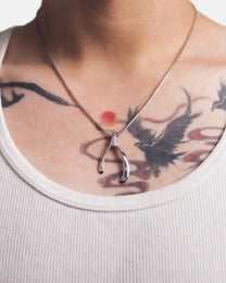 [ ASTRE PENDANT ]